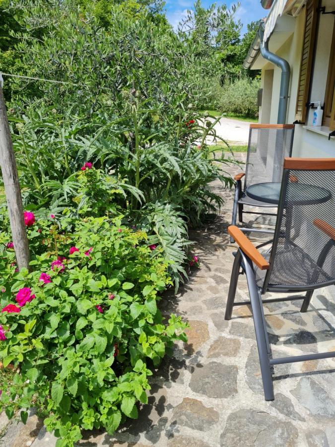 Apartma Istra Zora Sečovlje 外观 照片