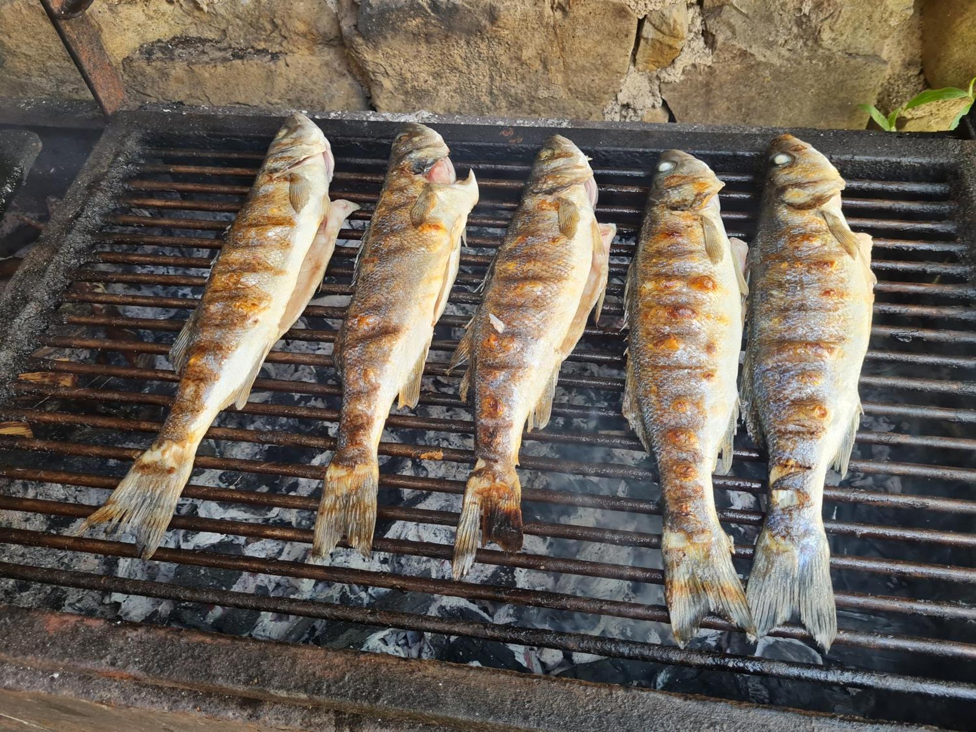 Apartma Istra Zora Sečovlje 外观 照片