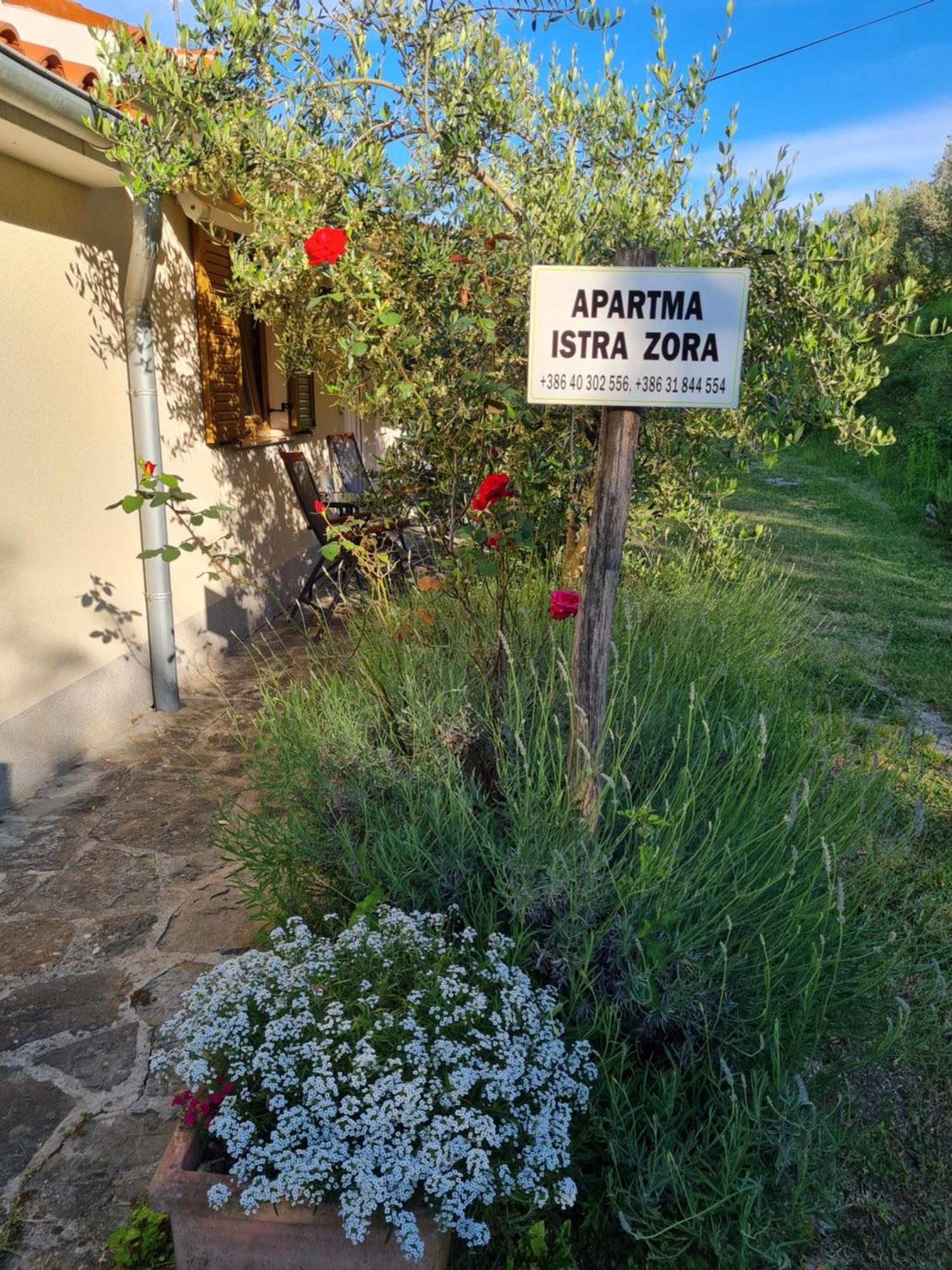 Apartma Istra Zora Sečovlje 外观 照片